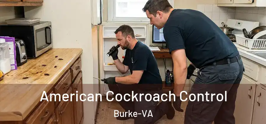 American Cockroach Control Burke-VA