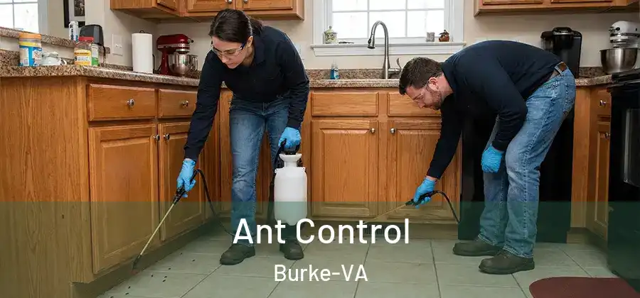 Ant Control Burke-VA