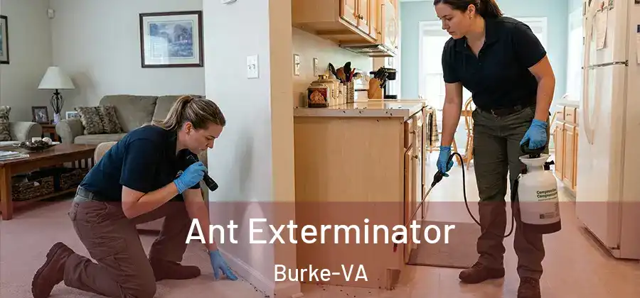 Ant Exterminator Burke-VA