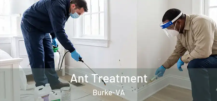 Ant Treatment Burke-VA