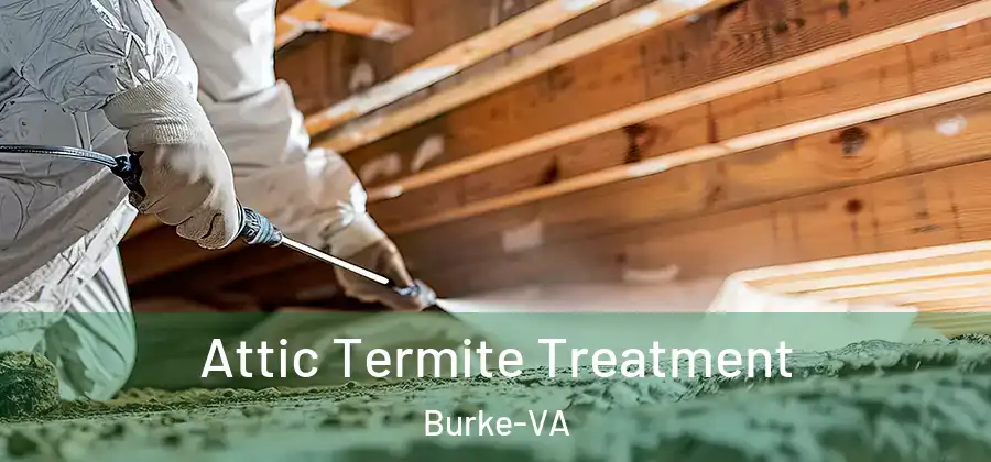 Attic Termite Treatment Burke-VA