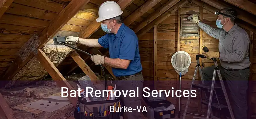 Bat Removal Services Burke-VA