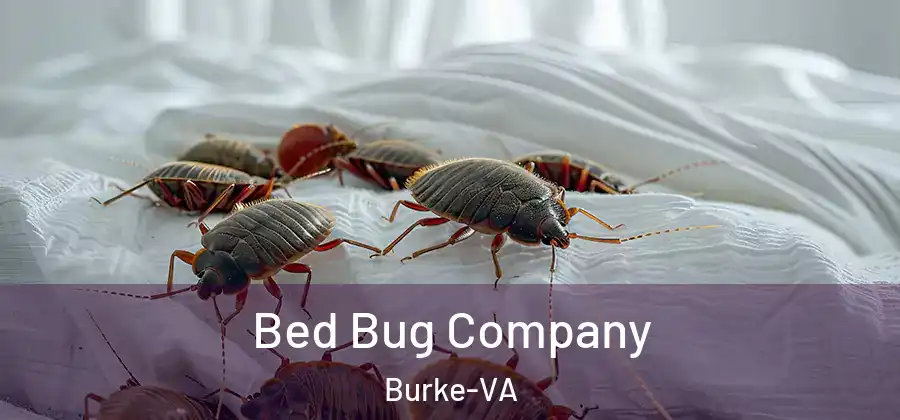 Bed Bug Company Burke-VA