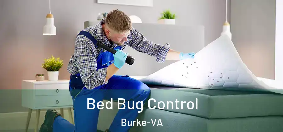 Bed Bug Control Burke-VA