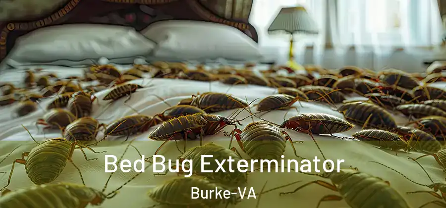Bed Bug Exterminator Burke-VA