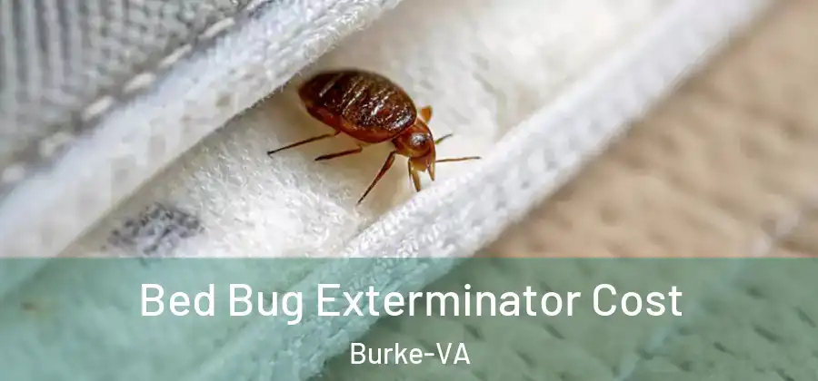 Bed Bug Exterminator Cost Burke-VA