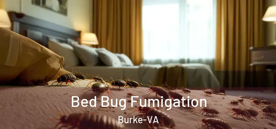 Bed Bug Fumigation Burke-VA