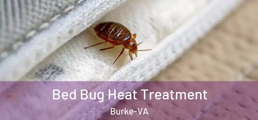 Bed Bug Heat Treatment Burke-VA