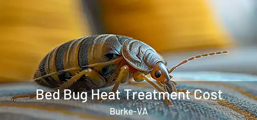 Bed Bug Heat Treatment Cost Burke-VA