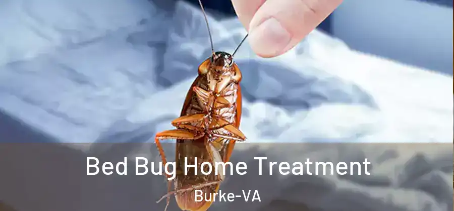 Bed Bug Home Treatment Burke-VA