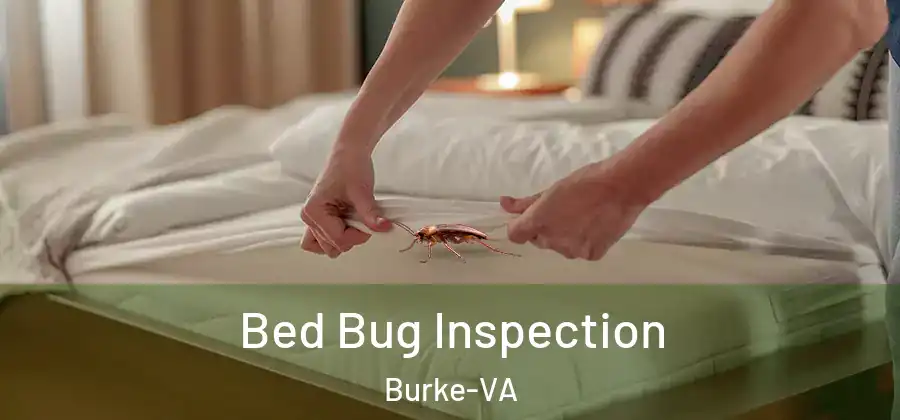 Bed Bug Inspection Burke-VA