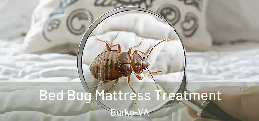 Bed Bug Mattress Treatment Burke-VA