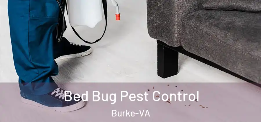 Bed Bug Pest Control Burke-VA