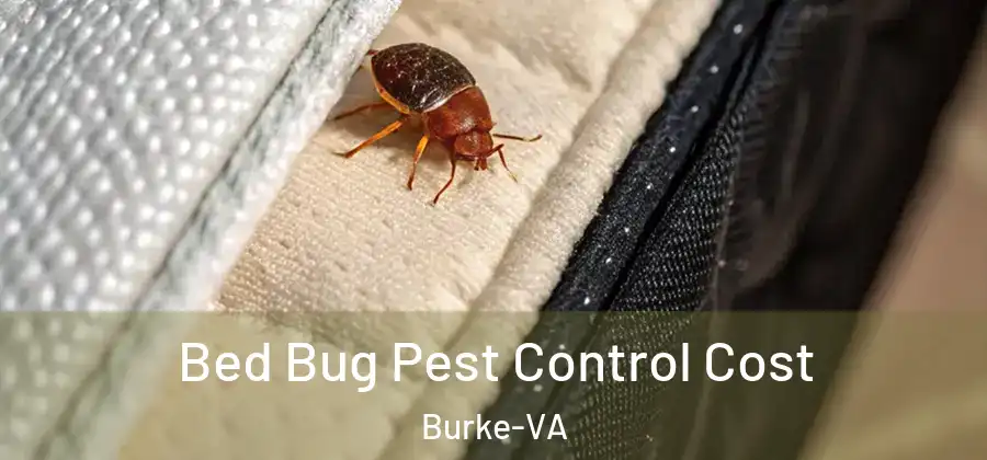 Bed Bug Pest Control Cost Burke-VA