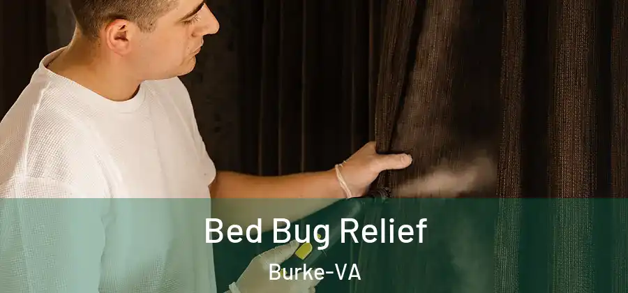 Bed Bug Relief Burke-VA