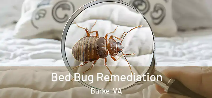 Bed Bug Remediation Burke-VA