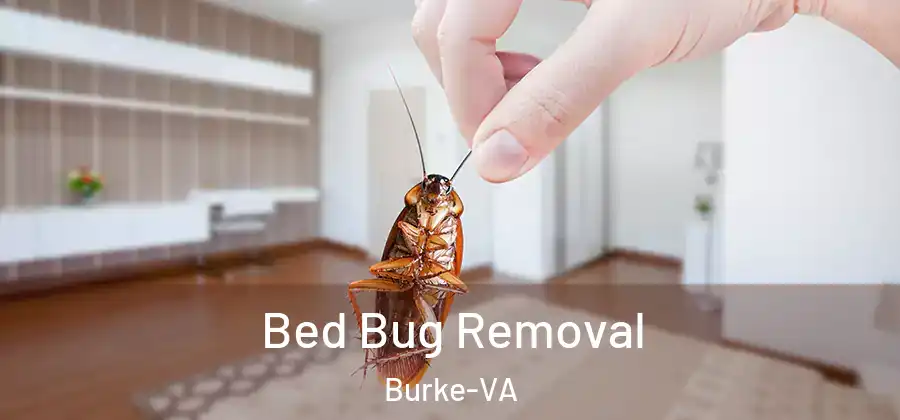 Bed Bug Removal Burke-VA