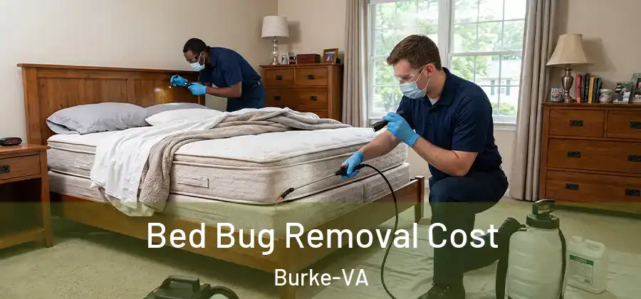 Bed Bug Removal Cost Burke-VA