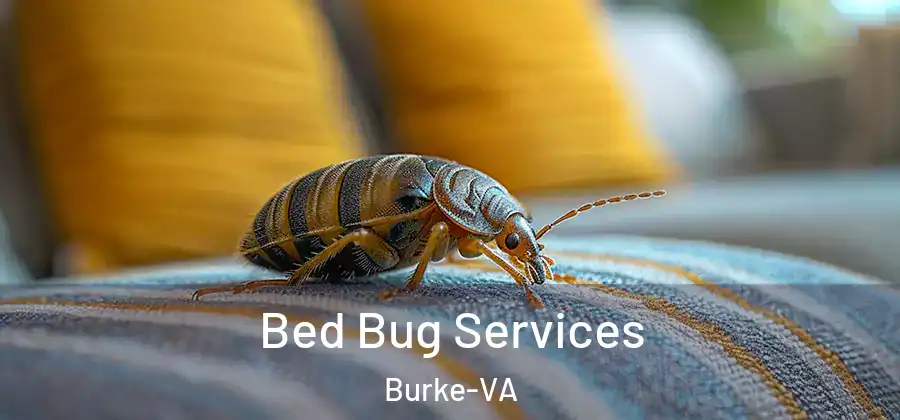 Bed Bug Services Burke-VA
