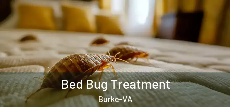 Bed Bug Treatment Burke-VA