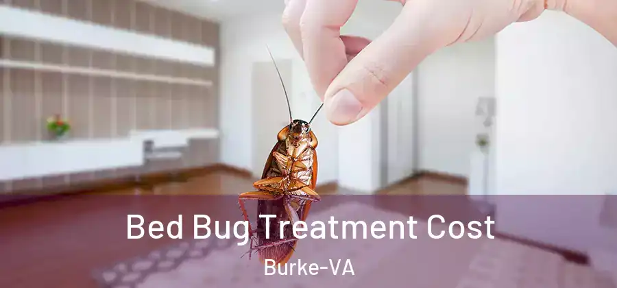 Bed Bug Treatment Cost Burke-VA