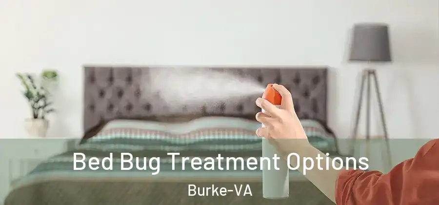 Bed Bug Treatment Options Burke-VA