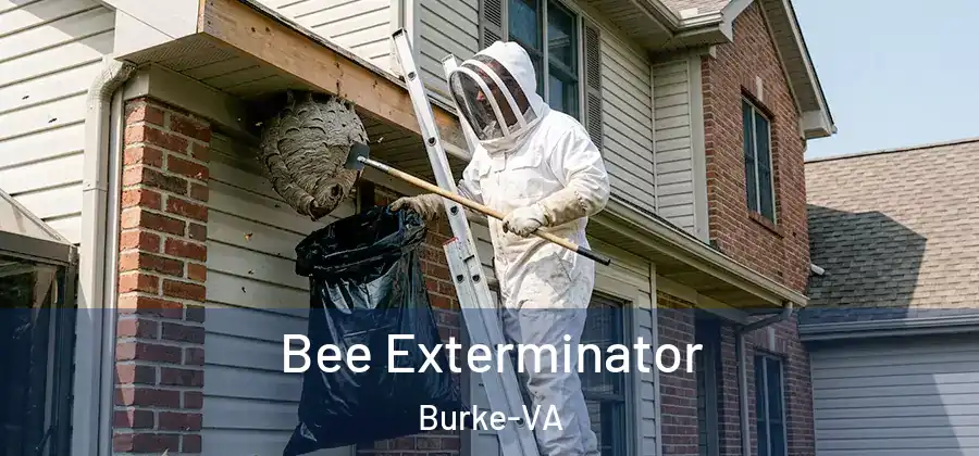 Bee Exterminator Burke-VA