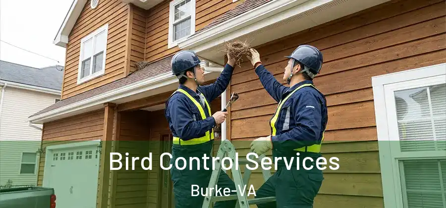 Bird Control Services Burke-VA