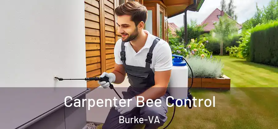 Carpenter Bee Control Burke-VA