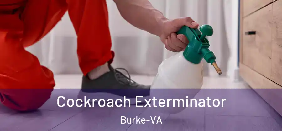 Cockroach Exterminator Burke-VA