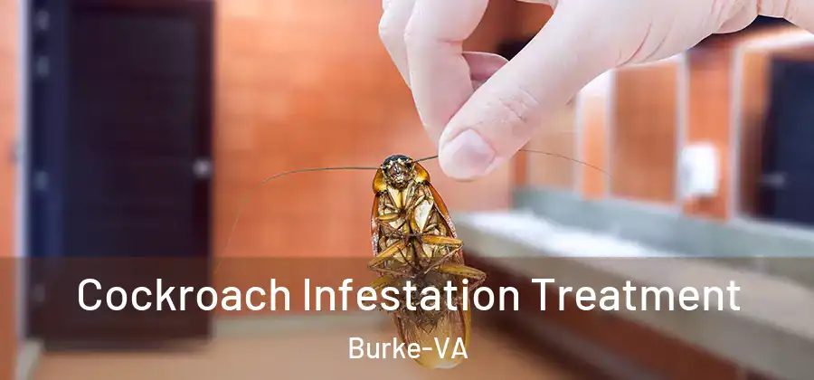 Cockroach Infestation Treatment Burke-VA