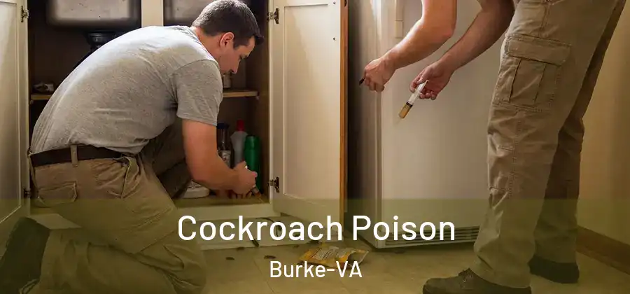 Cockroach Poison Burke-VA