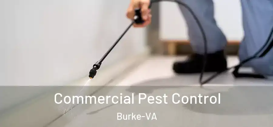 Commercial Pest Control Burke-VA