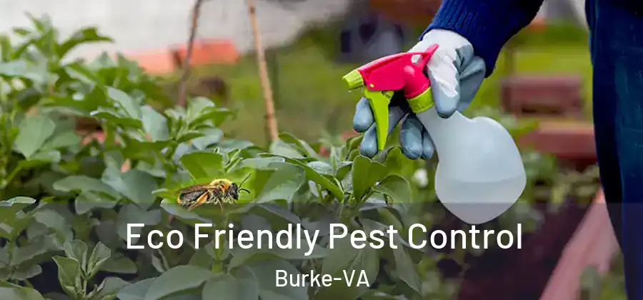 Eco Friendly Pest Control Burke-VA