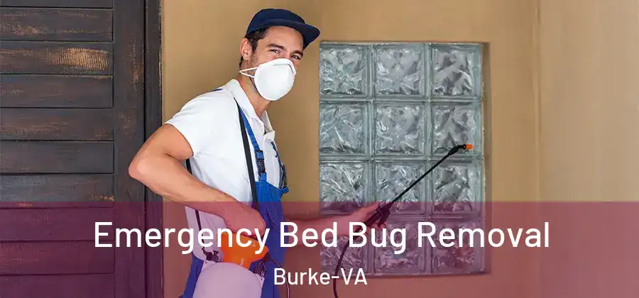 Emergency Bed Bug Removal Burke-VA