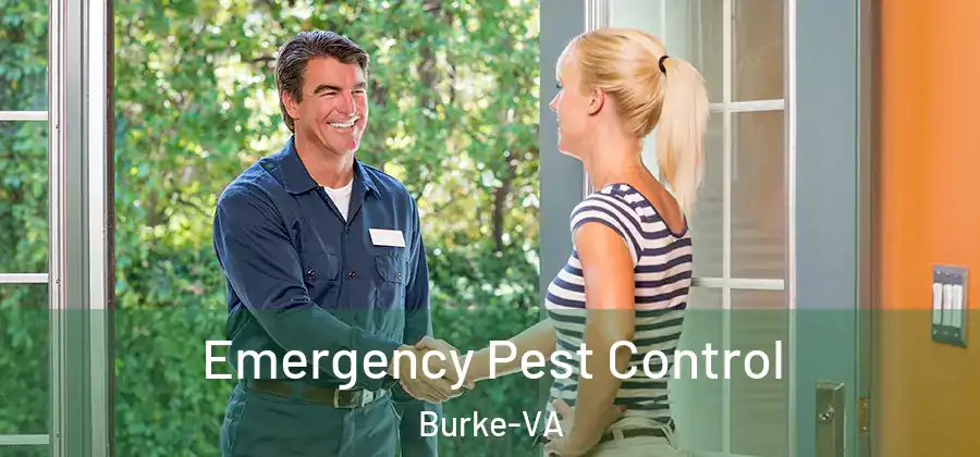 Emergency Pest Control Burke-VA
