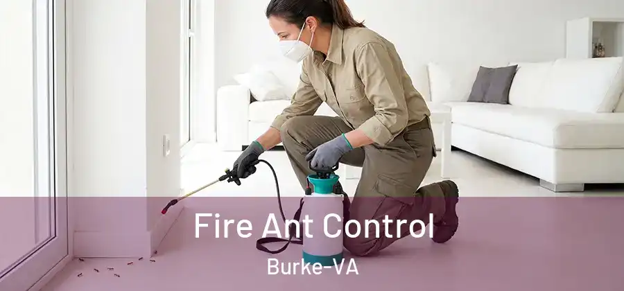 Fire Ant Control Burke-VA