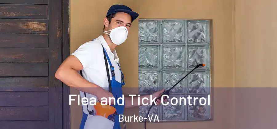 Flea and Tick Control Burke-VA