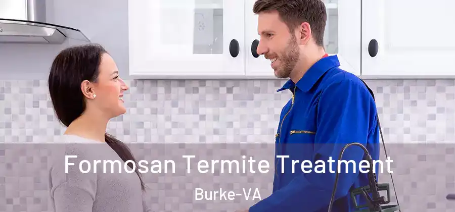Formosan Termite Treatment Burke-VA