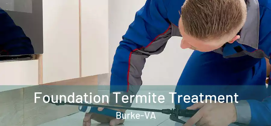 Foundation Termite Treatment Burke-VA