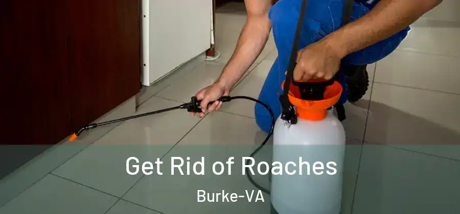 Get Rid of Roaches Burke-VA
