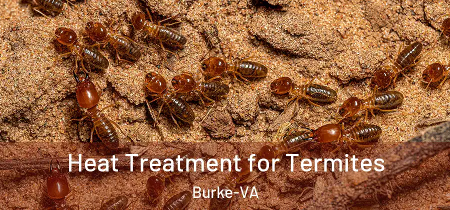  Heat Treatment for Termites Burke-VA