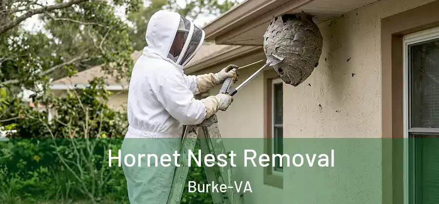 Hornet Nest Removal Burke-VA