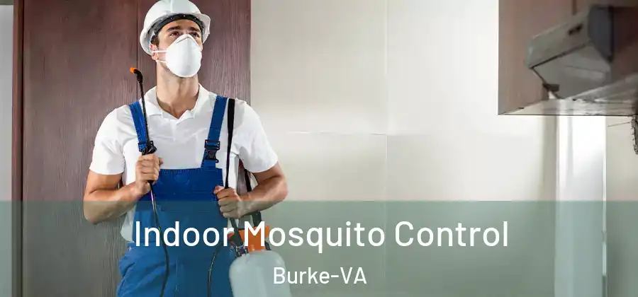 Indoor Mosquito Control Burke-VA