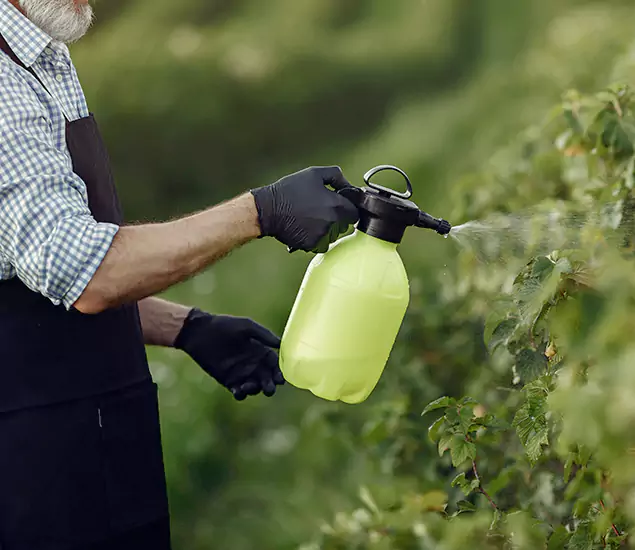 Your Proven Mosquito Treatment Company in Burke, VA