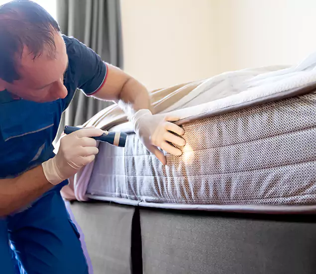 Trusted Bed Bug Cost Experts in Burke, VA
