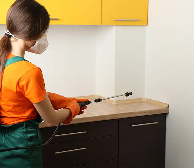 Trusted Bed Bug Pest Control Specialist in Burke, VA