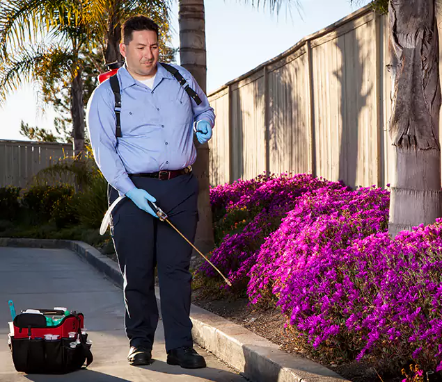 About Our Eco Safe Pest Control Experts in Burke, VA