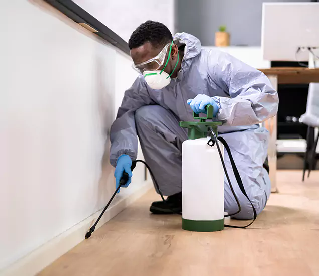 Leading Industrial Pest Control Experts Serving Burke, VA