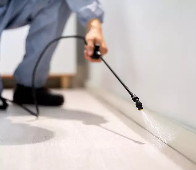 About Our Liquid Termite Treatment Experts in Burke, VA